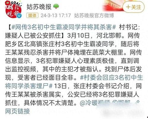 邯郸事件大爆料最新消息,揭秘背后惊人真相  第2张